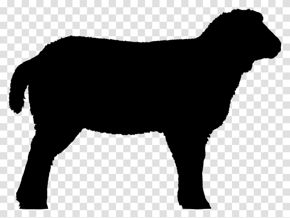 Stormtrooper Clipart Sheep, Gray, World Of Warcraft Transparent Png