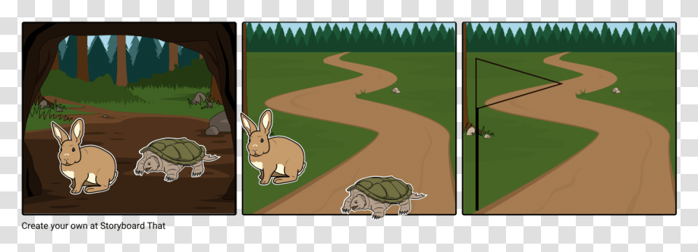 Storyboard, Animal, Tortoise, Turtle, Reptile Transparent Png