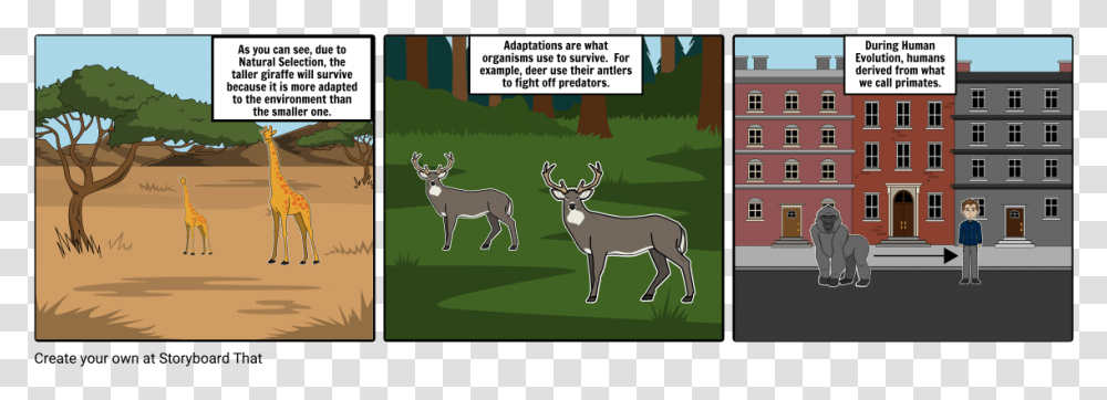Storyboard, Deer, Wildlife, Mammal, Animal Transparent Png