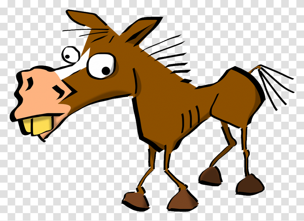 Straight From The Horse's Mouth Idiom, Mammal, Animal, Wildlife, Aardvark Transparent Png