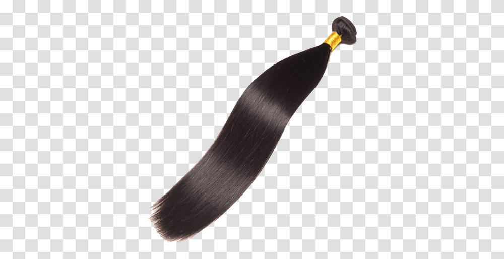 Straight Hair 1 Image Hair, Accessories, Accessory, Brush, Tool Transparent Png