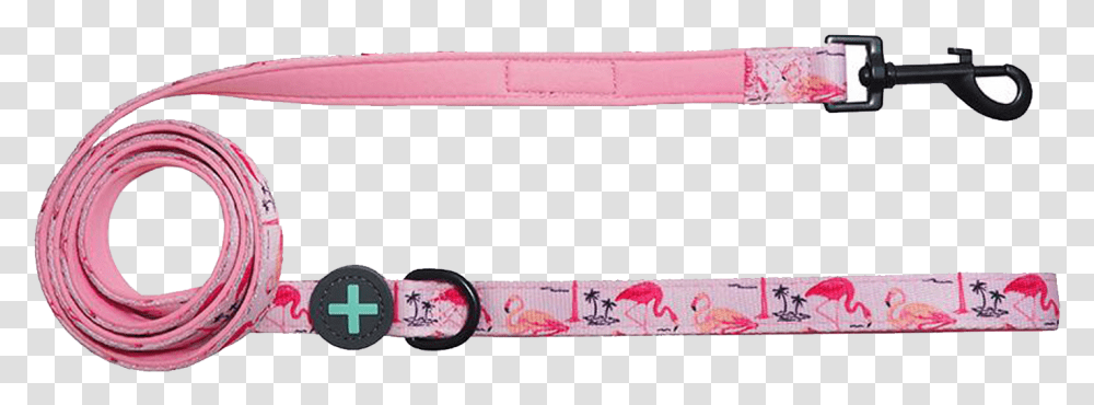 Strap, Accessories, Accessory, Skateboard, Sport Transparent Png