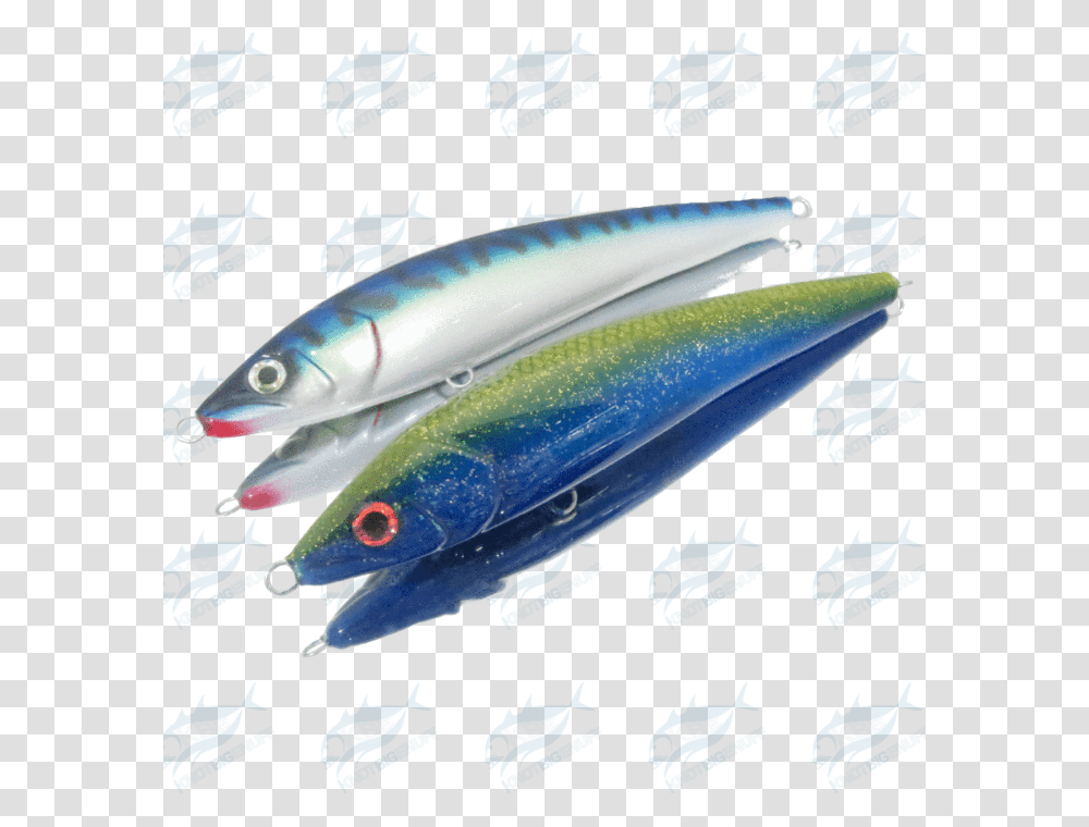 Strategic Angler Cl Walking Series F Sardine, Fish, Animal, Tuna, Sea Life Transparent Png