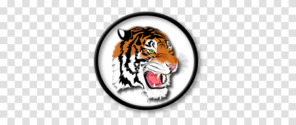 Strategies New Boston Local Schools Ohio, Wildlife, Animal, Mammal, Tiger Transparent Png