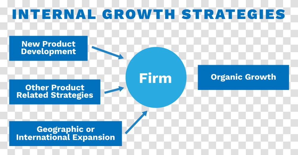 Strategies To Drive Organic Growth Chart Flsmidth, Sphere, Network, Diagram Transparent Png