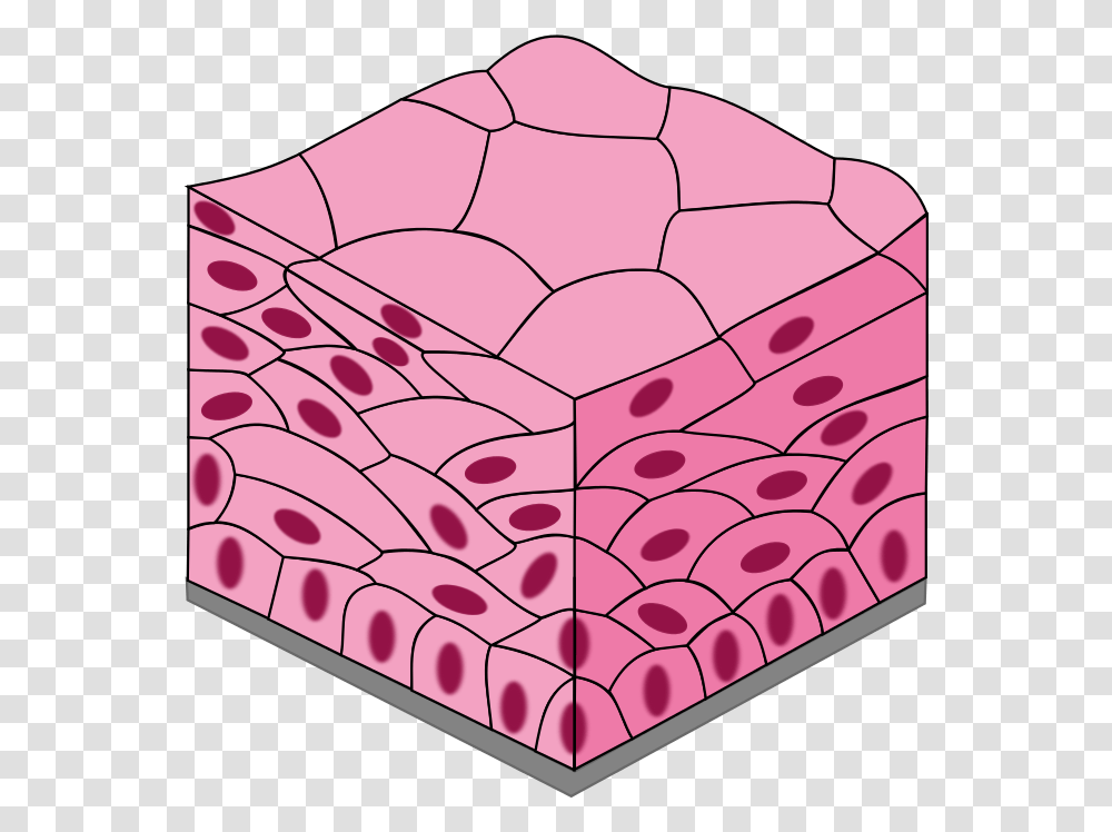 Stratified Squamous Epithelium Stratified Squamous Epithelium, Rug, Crystal, Art, Graphics Transparent Png