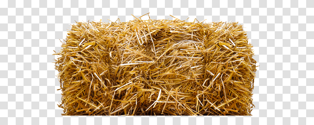 Straw Nature, Outdoors, Countryside, Plant Transparent Png