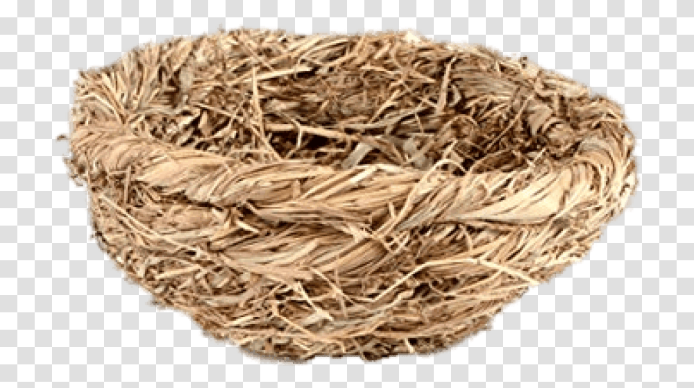 Straw Bird Nest Bird Nest, Nature, Outdoors, Countryside, Hay Transparent Png