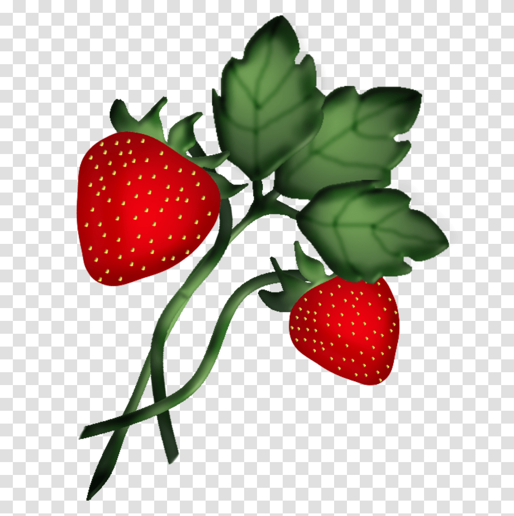 Strawberries Clip Art Clip Art, Strawberry, Fruit, Plant, Food Transparent Png