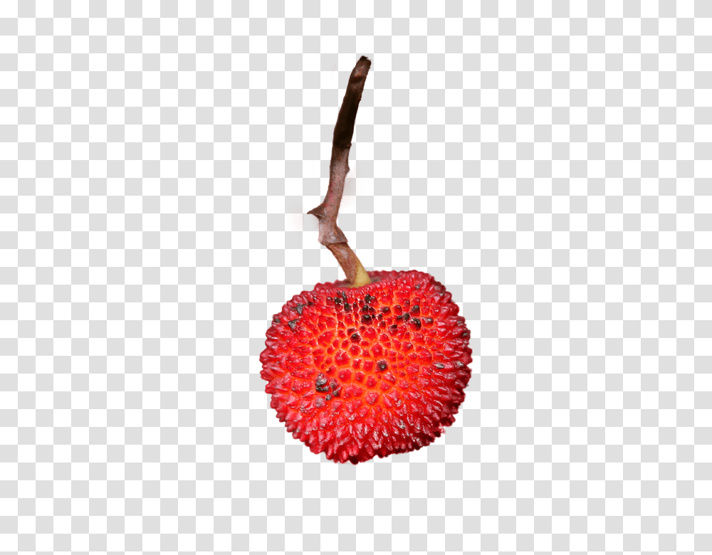Strawberry 960, Fruit, Plant, Food, Pineapple Transparent Png