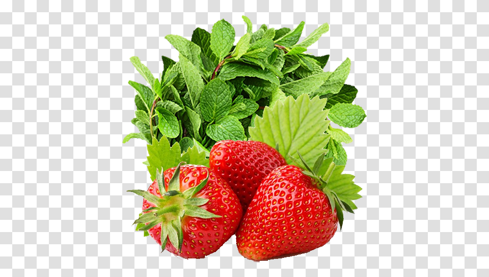Strawberry And Mint Recipe Fitness, Fruit, Plant, Food, Leaf Transparent Png