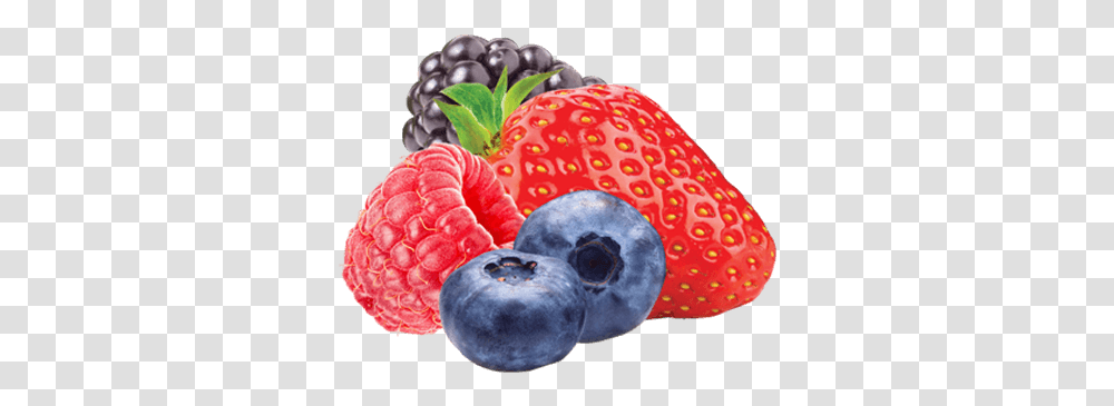 Strawberry Blueberry Raspberry Blackberry Recipes Wish Superfood, Plant, Fruit Transparent Png