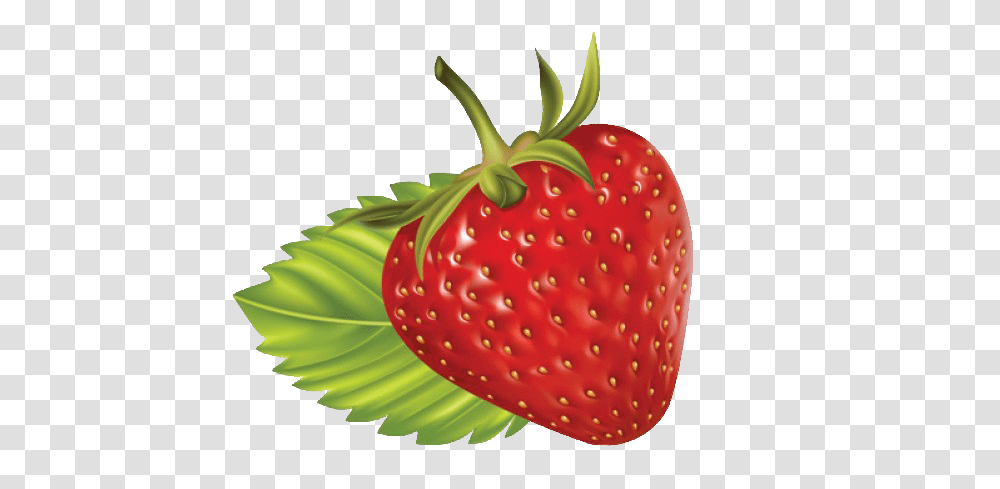 Strawberry Clip Art At Vector Image Frutas Y Verduras, Fruit, Plant, Food, Fungus Transparent Png