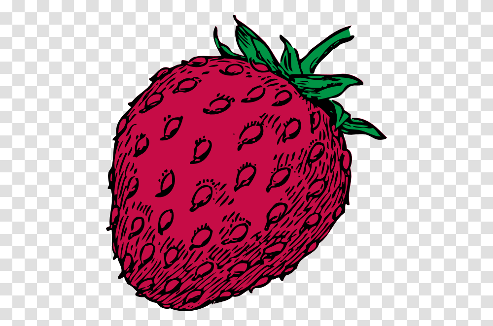 Strawberry Clip Art Free Vector, Fruit, Plant, Food, Raspberry Transparent Png
