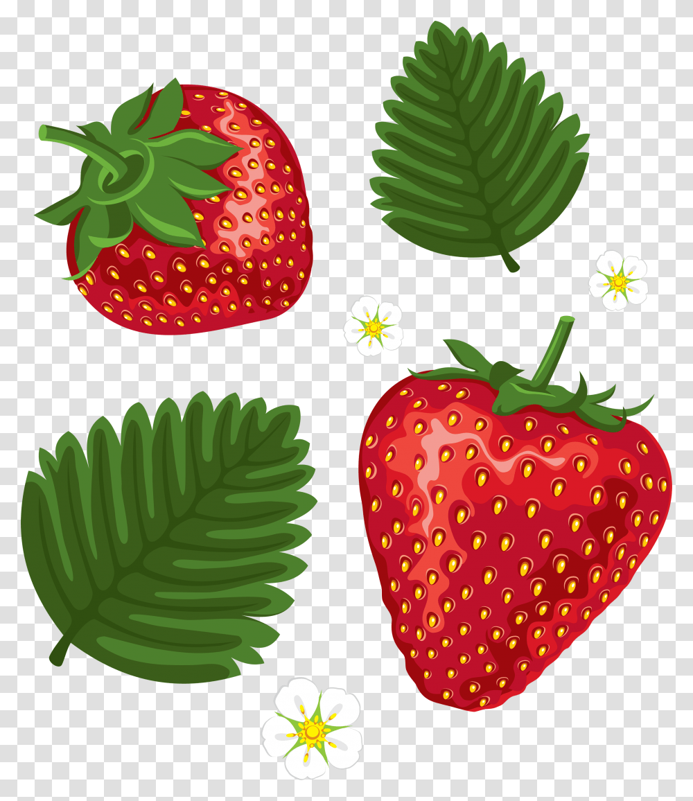 Strawberry Clipart, Fruit, Plant, Food, Leaf Transparent Png