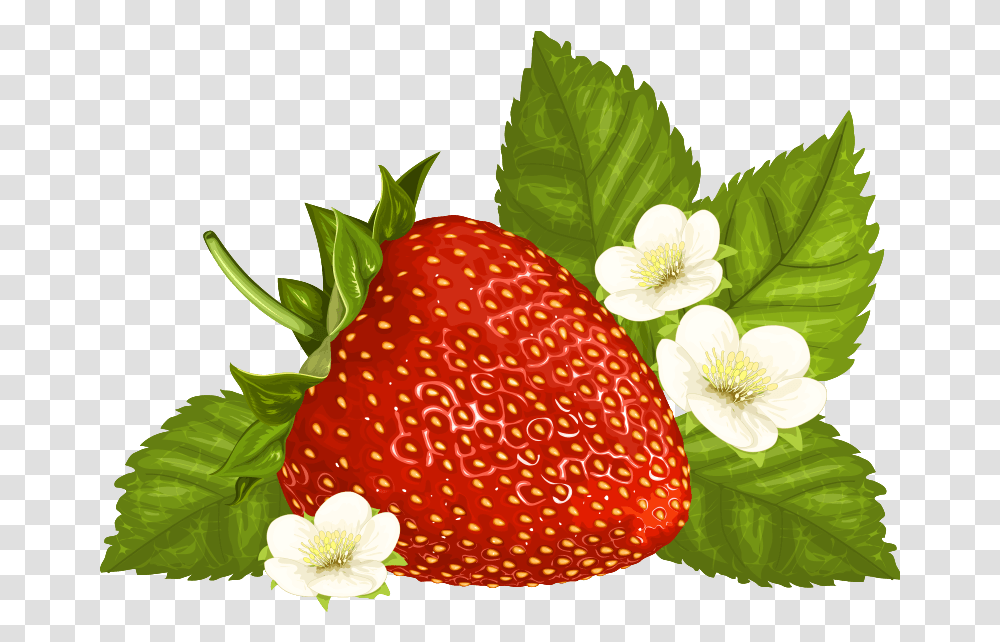 Strawberry Clipart Image Strawberries Graphic Free, Fruit, Plant, Food, Fungus Transparent Png