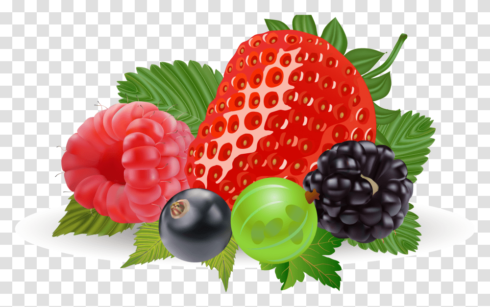 Strawberry Clipart Realistic Berries Clipart, Raspberry, Fruit, Plant, Food Transparent Png