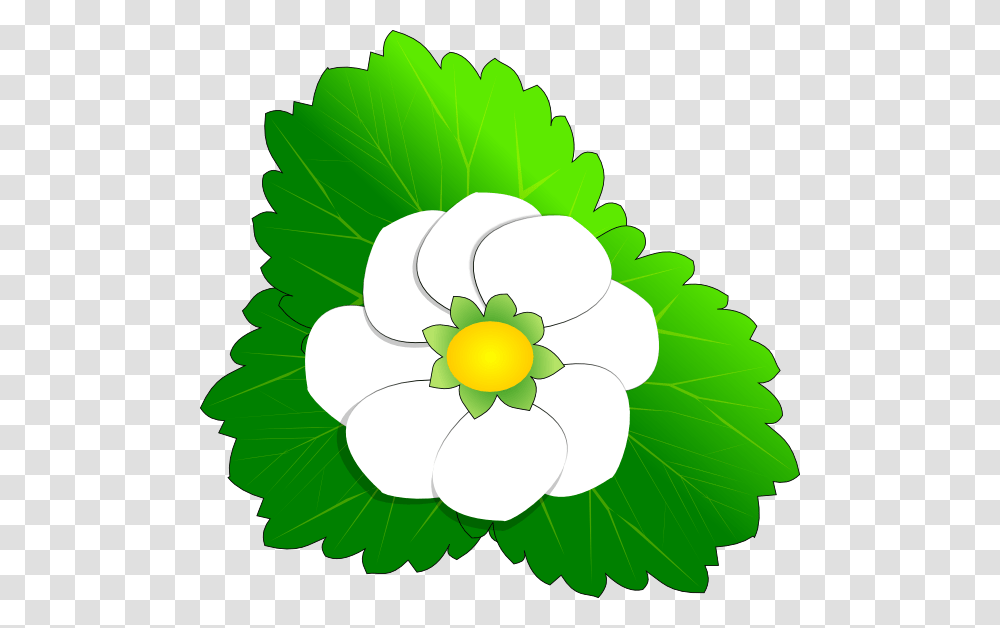 Strawberry Flower Clip Art For Web, Green, Plant, Floral Design Transparent Png