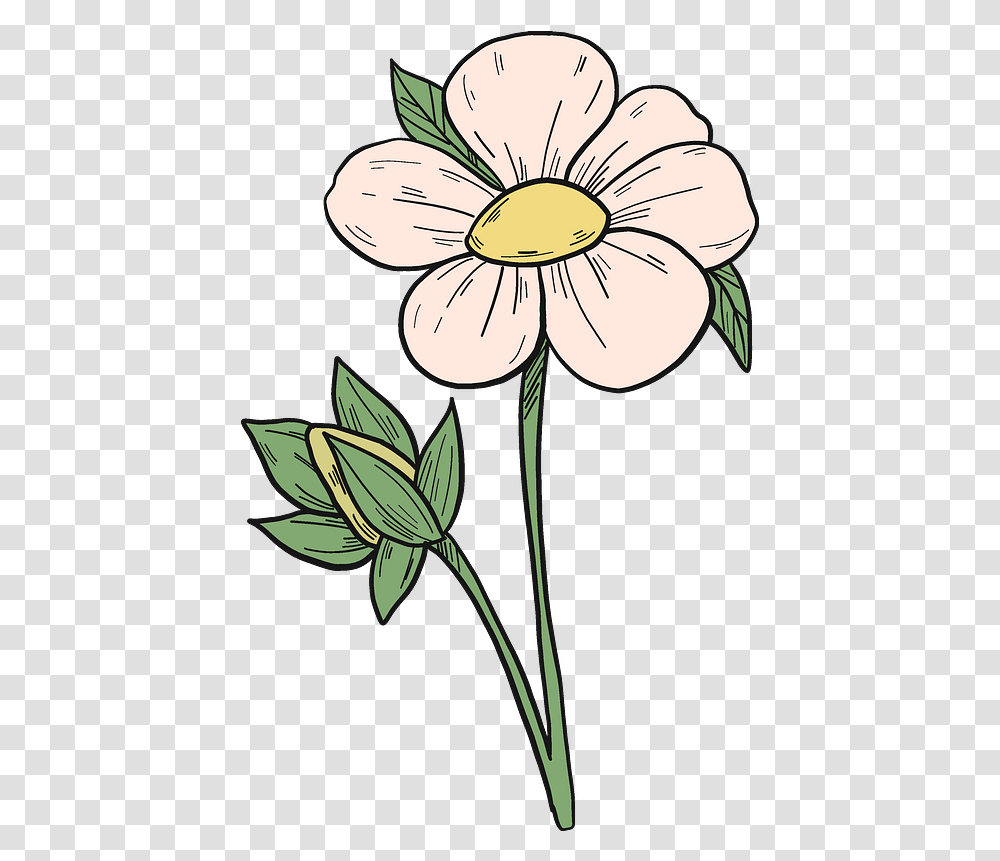 Strawberry Flower Clipart Flower Clipart, Plant, Anther, Petal, Daisy Transparent Png