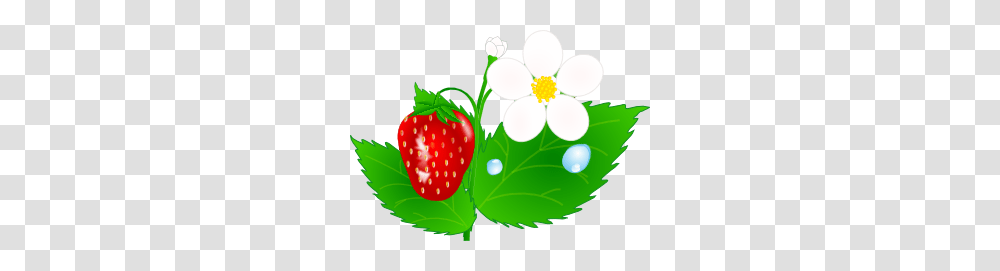 Strawberry Flower Jh Clip Art, Fruit, Plant, Food, Leaf Transparent Png