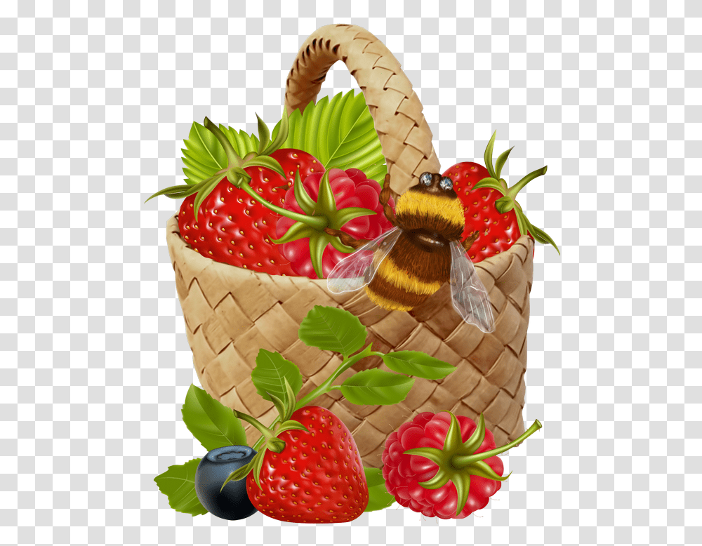 Strawberry, Fruit, Plant, Food, Basket Transparent Png