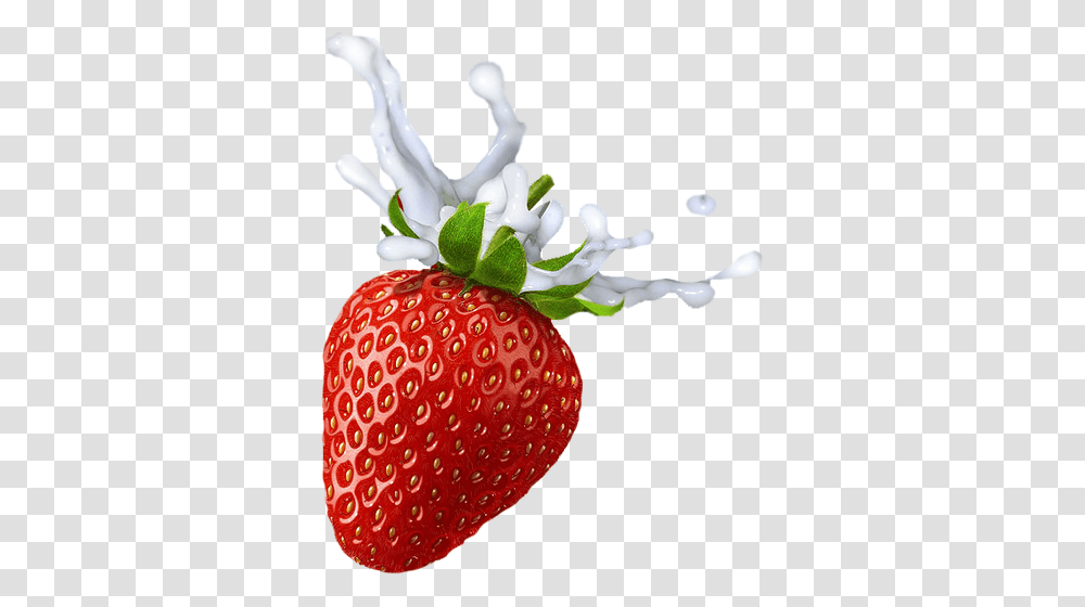 Strawberry, Fruit, Plant, Food, Cream Transparent Png