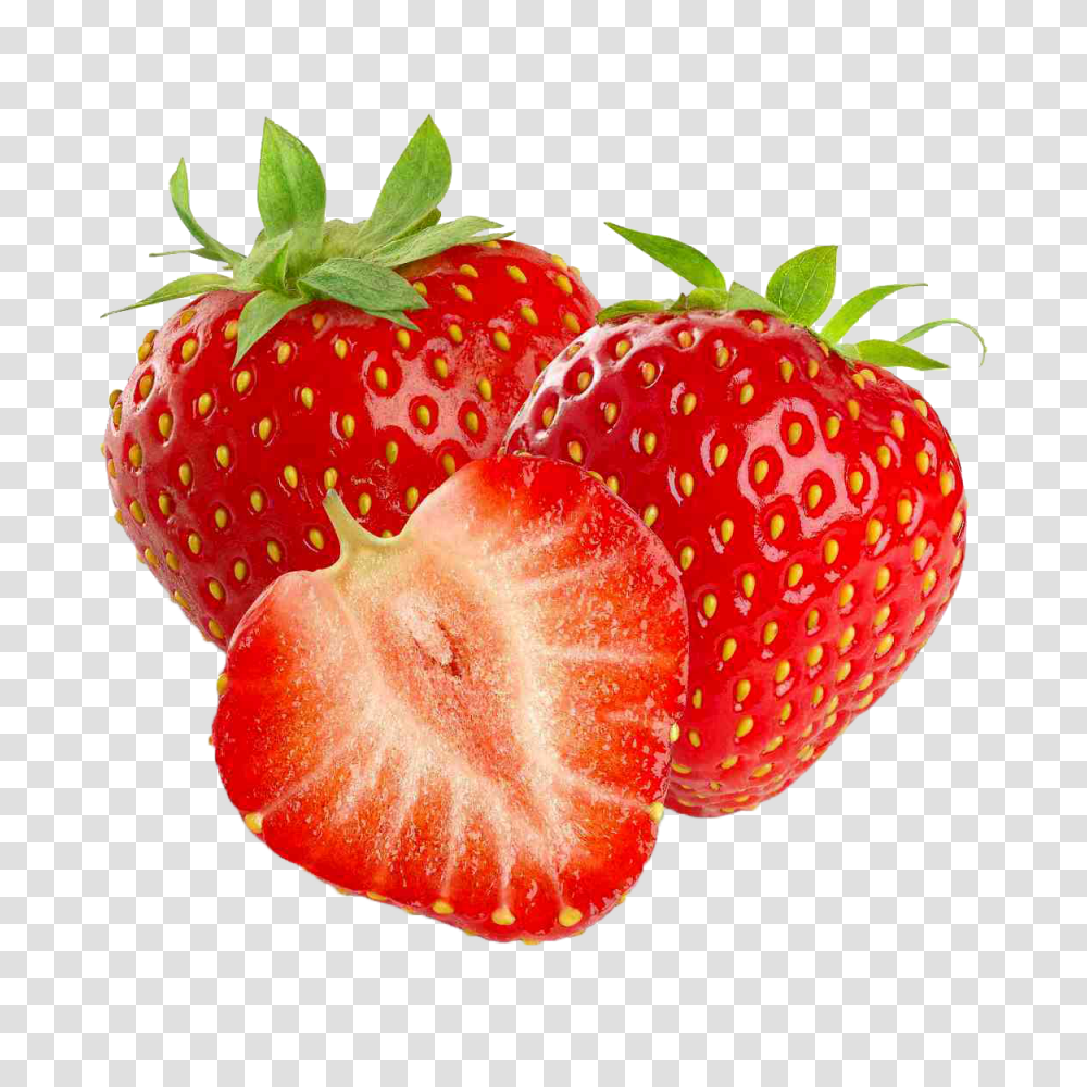 Strawberry, Fruit, Plant, Food, Fungus Transparent Png