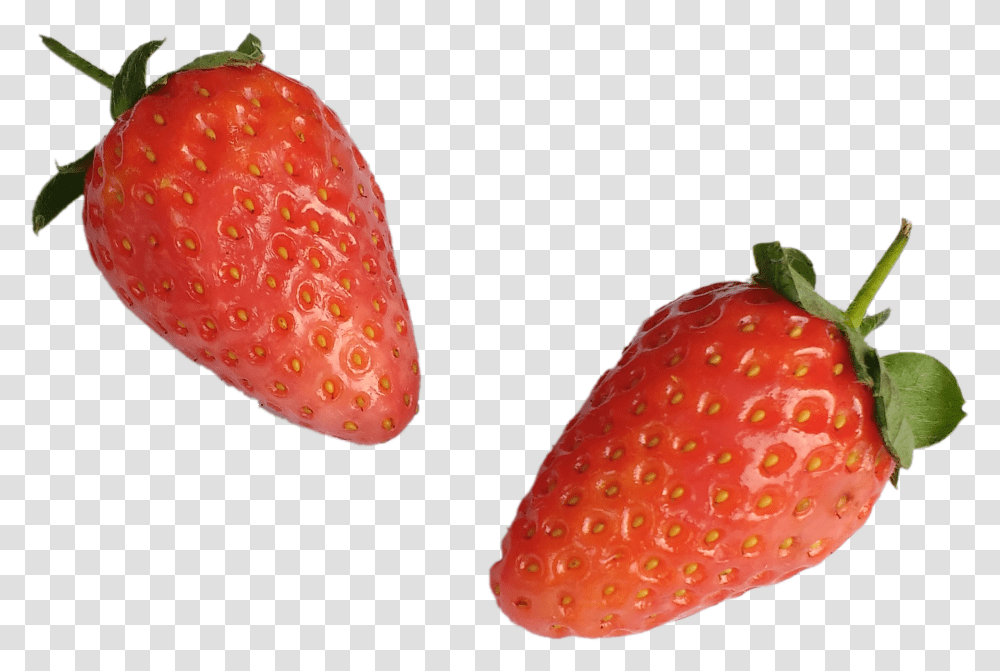 Strawberry, Fruit, Plant, Food, Fungus Transparent Png