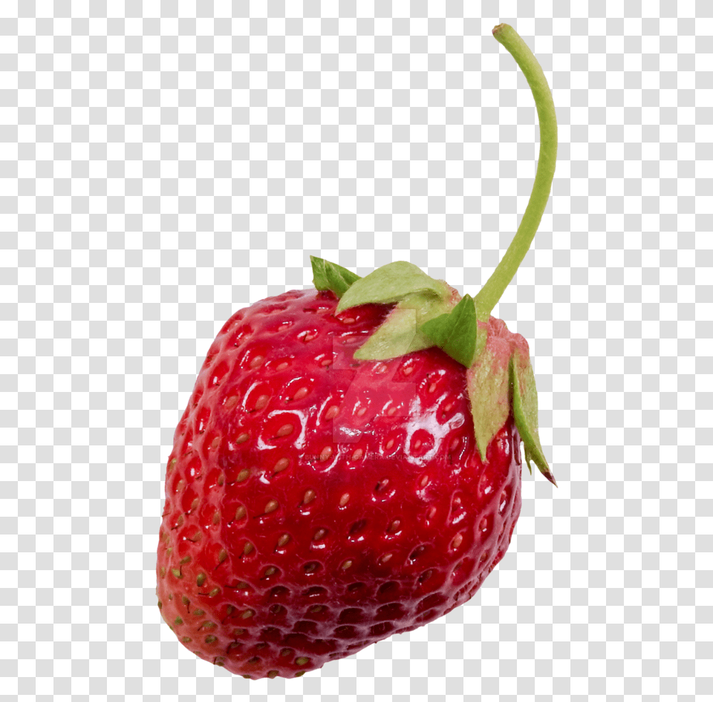 Strawberry, Fruit, Plant, Food, Raspberry Transparent Png