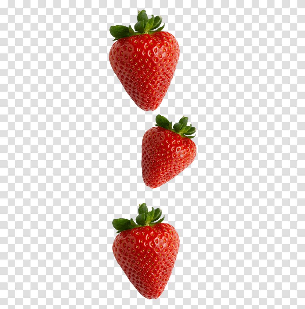 Strawberry, Fruit, Plant, Food, Sweets Transparent Png