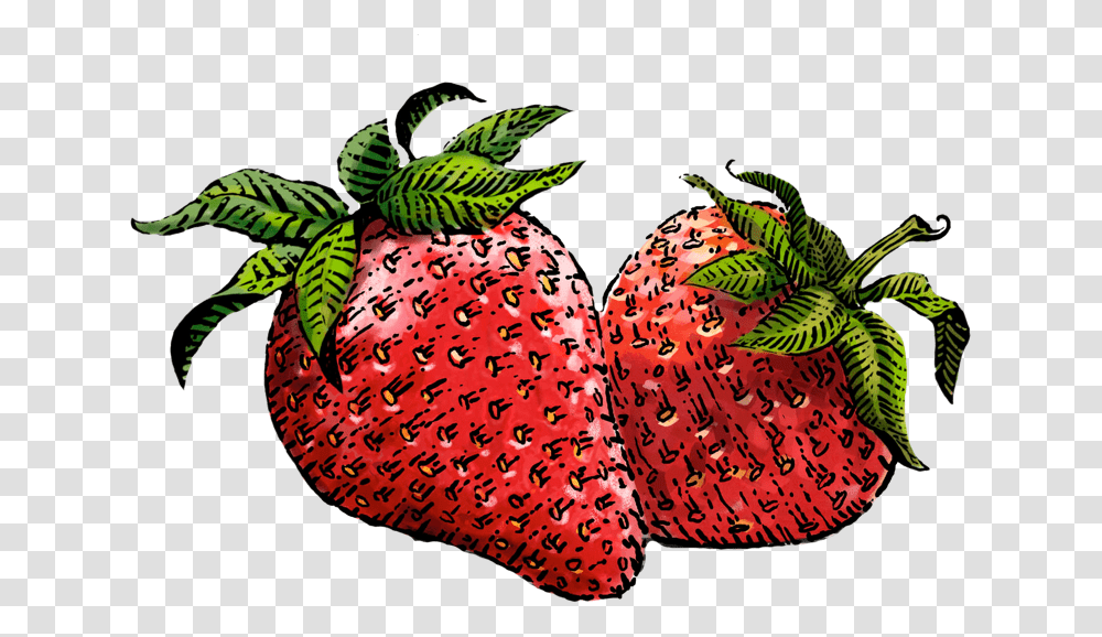 Strawberry Image Siggi's Strawberry, Fruit, Plant, Food, Bird Transparent Png