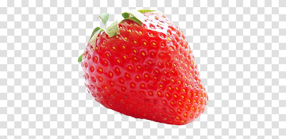 Strawberry Images Strawberry Logo, Fruit, Plant, Food, Birthday Cake Transparent Png