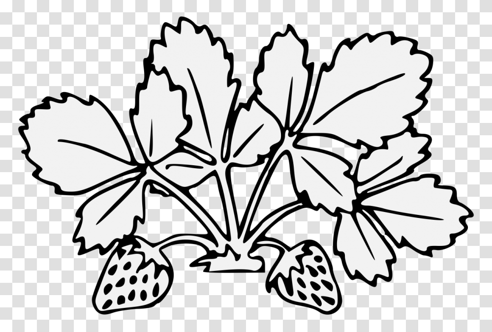 Strawberry, Leaf, Plant, Stencil, Food Transparent Png