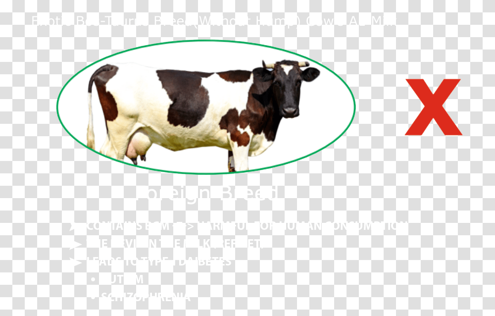 Strawberry Milk Pink Cows, Cattle, Mammal, Animal, Dairy Cow Transparent Png