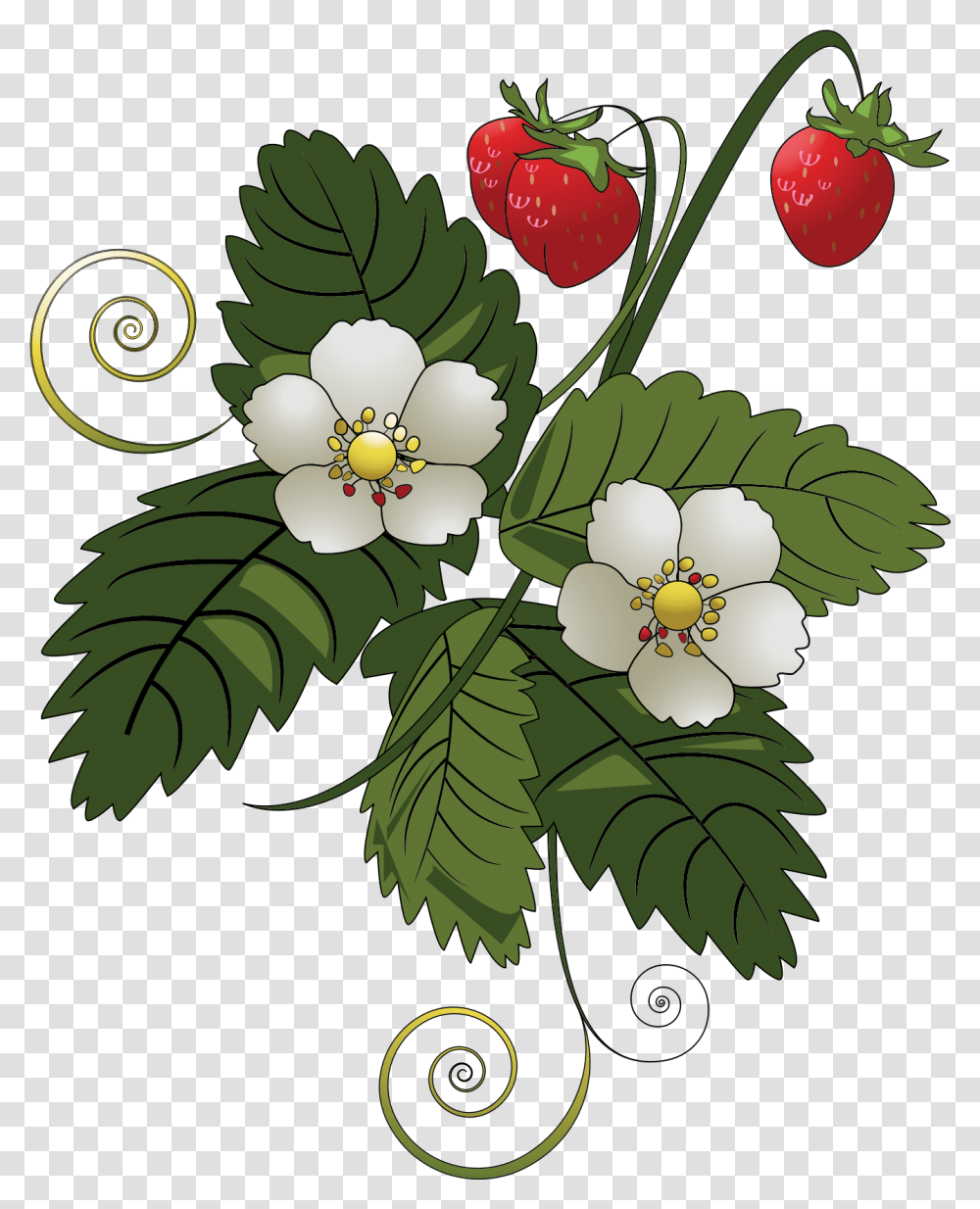 Strawberry Plant Clipart, Floral Design, Pattern, Green Transparent Png