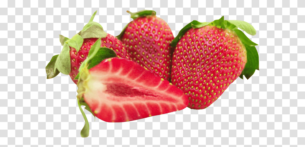 Strawberry Strawberry Fruit, Plant, Food, Rose, Flower Transparent Png