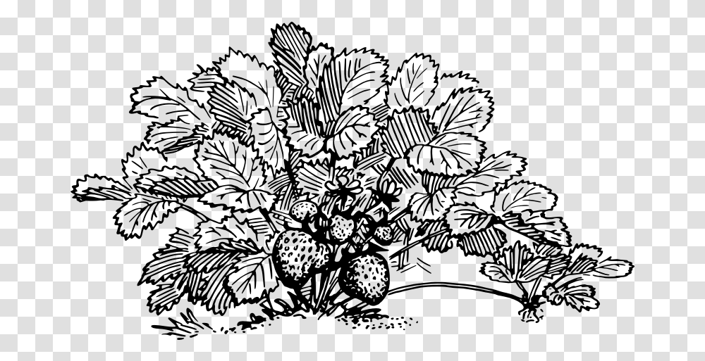 Strawberry Strawberry Plant Clipart Black And White, Gray, World Of Warcraft Transparent Png
