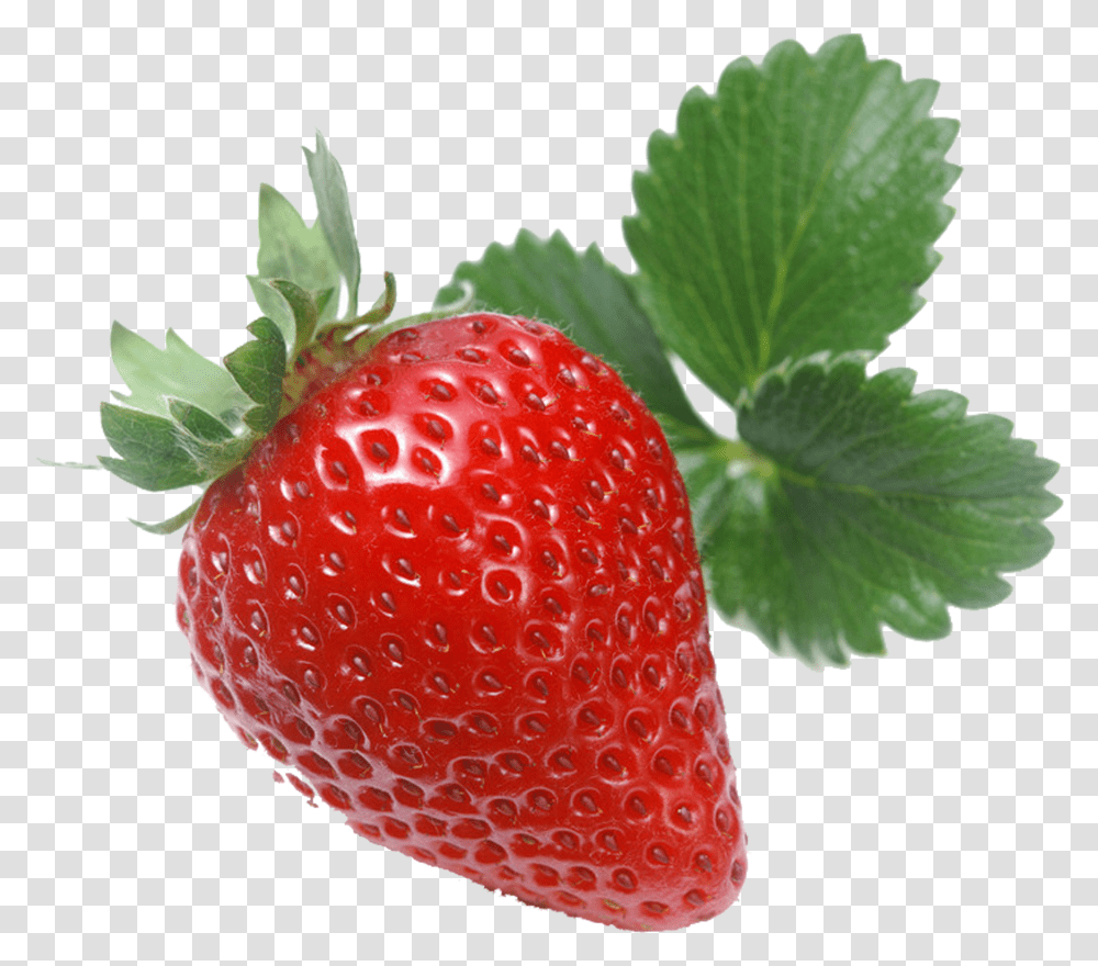 Strawberry Vector Wild Strawberries In, Fruit, Plant, Food, Fungus Transparent Png