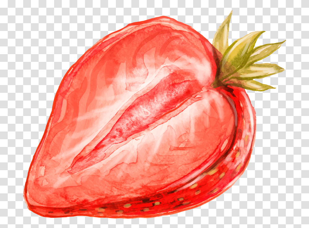 Strawberry Watercolor, Plant, Fruit, Food, Grapefruit Transparent Png