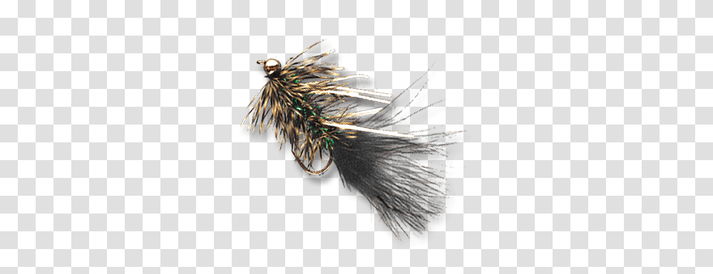 Streamers For Fly Fishing Patagonia Solid, Ornament, Bird, Animal, Fractal Transparent Png