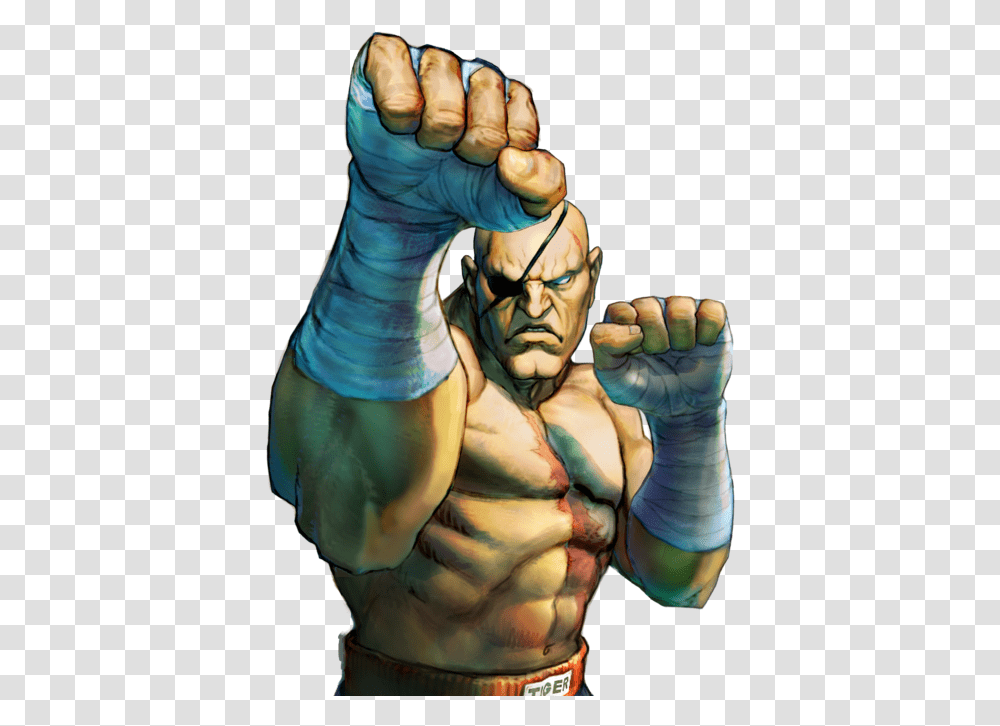 Street Fighter Origin Sagat Download Sagat Street Fighter, Hand, Fist, Person, Human Transparent Png