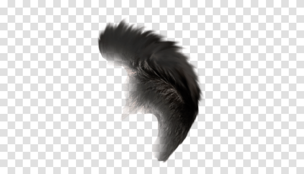 Stress Editing Background Download Hooded Skunk, Outdoors, Nature, Bird, Animal Transparent Png