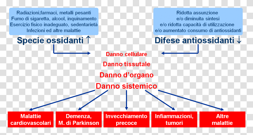 Stress Ossidativo Danni, Number Transparent Png