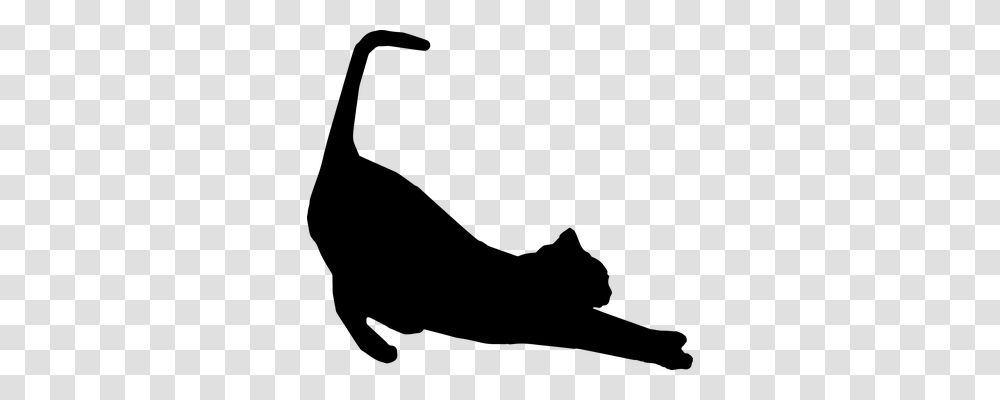 Stretching Animals, Gray, World Of Warcraft Transparent Png