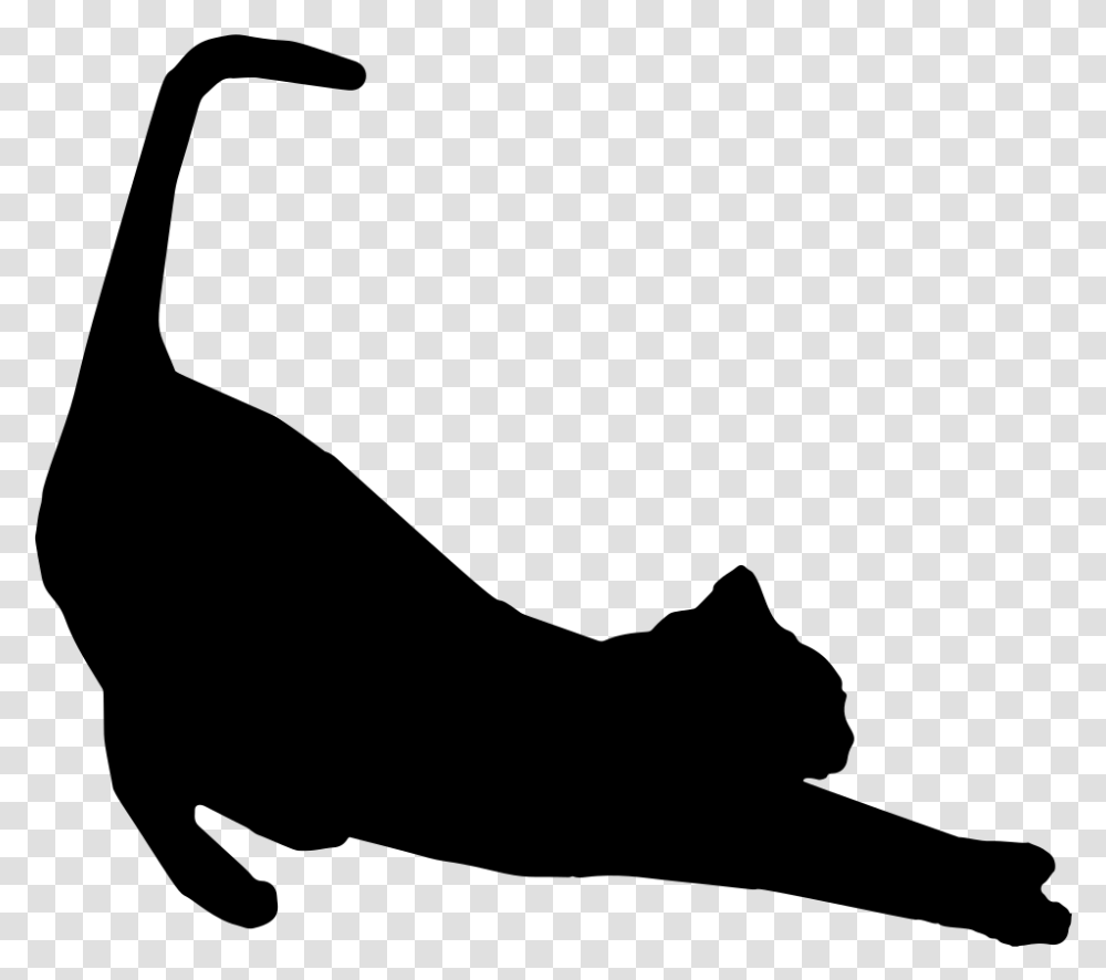 Stretching Cat Silhouette, Gray, World Of Warcraft Transparent Png
