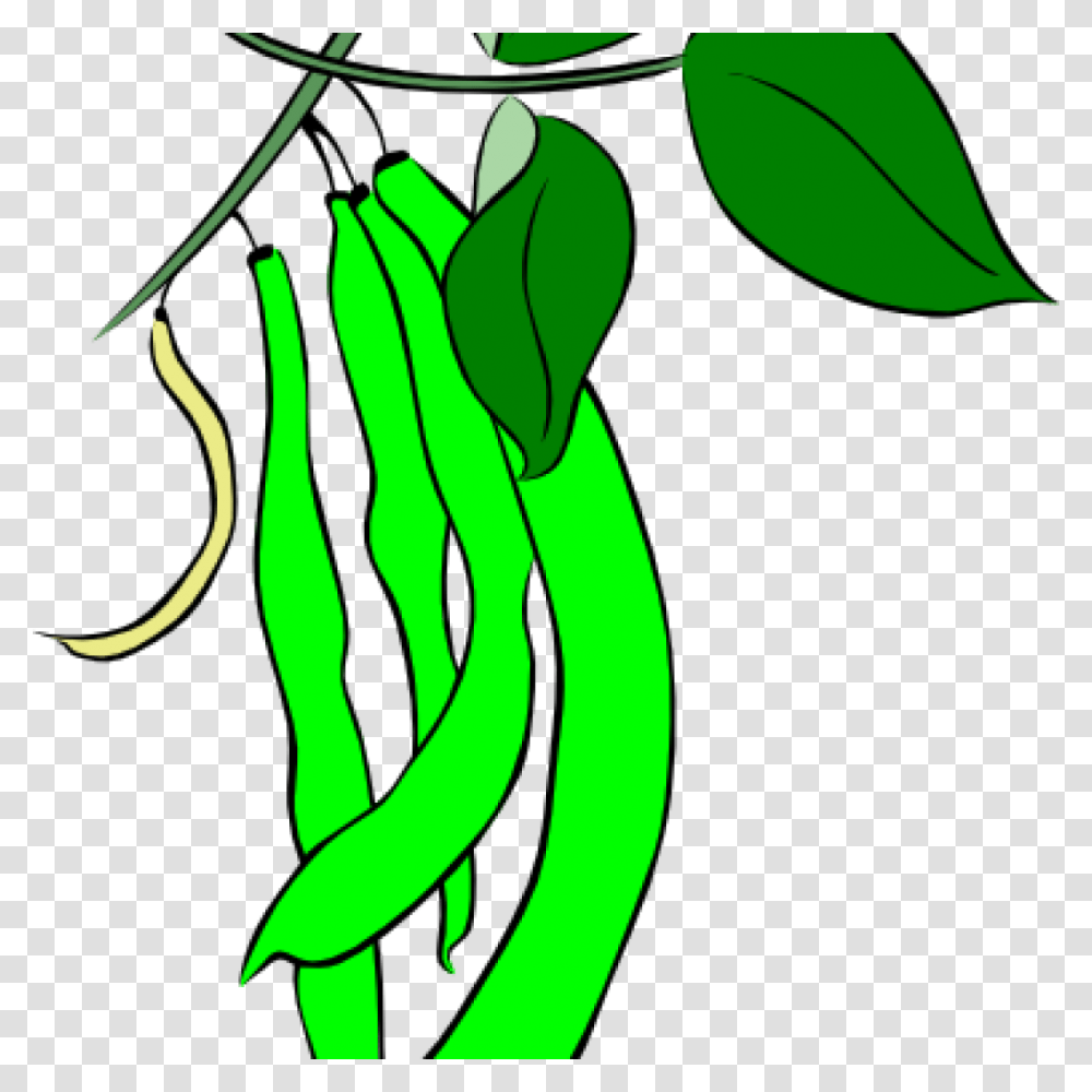 String Beans Clip Art Free Clipart Download, Plant, Green, Produce, Food Transparent Png