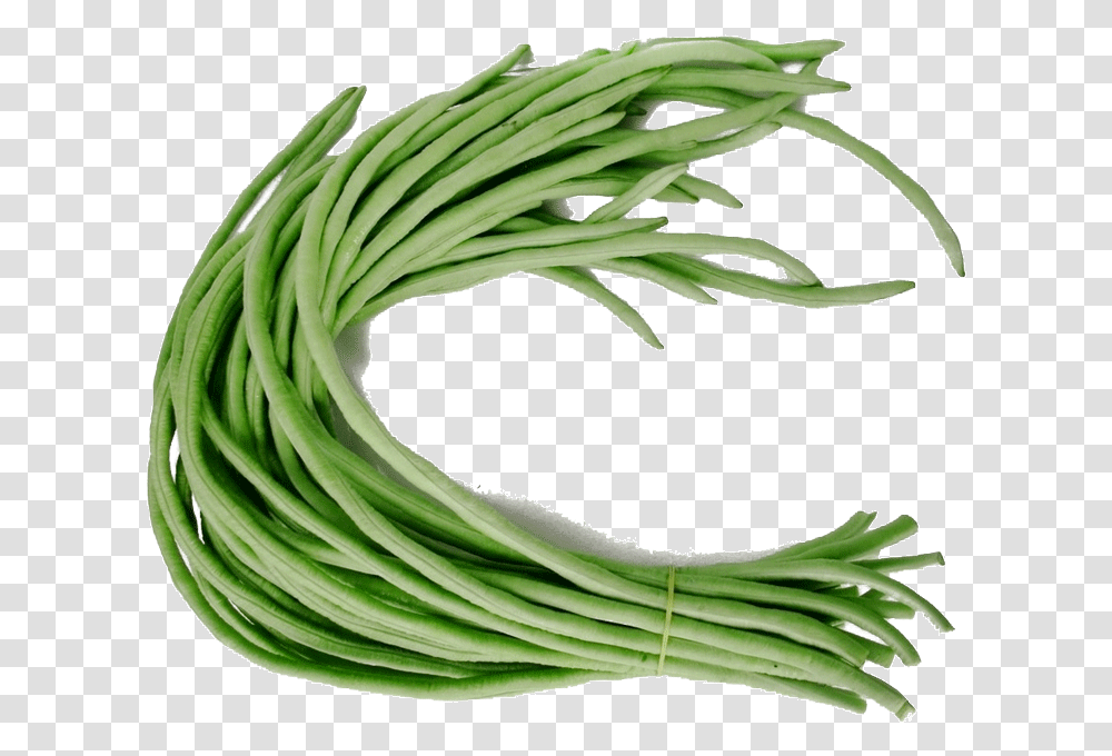String Beans, Plant, Vegetable, Food, Produce Transparent Png