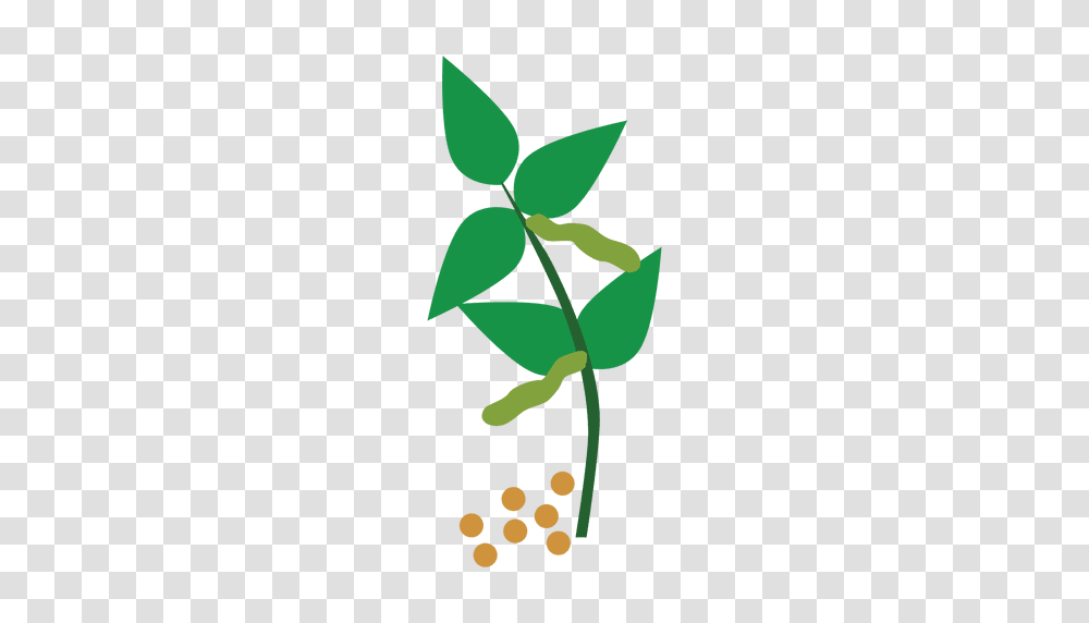String Beans Stem Food, Green, Plant, Leaf, Sprout Transparent Png