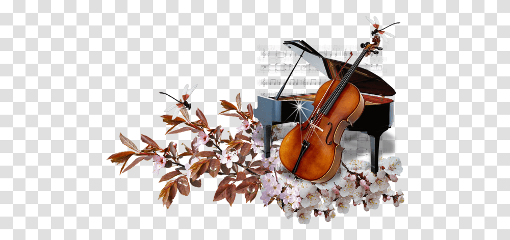 String Instrumentviolin Familyviolinbowed String Piano And Cello, Musical Instrument, Sweets, Food, Confectionery Transparent Png