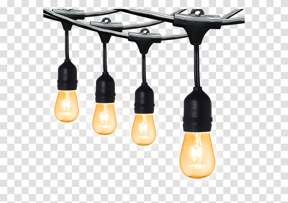 String Lights Firefly Electric & Lighting Corporation Ceiling Fixture, Lightbulb, Lamp Transparent Png